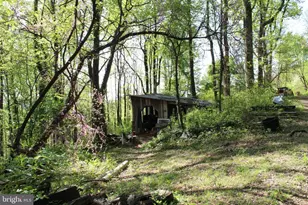 446 Spring Dr, Stanardsville, VA 22973 - Photo 27