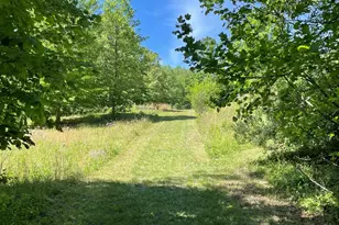1225 Middle River Rd, Stanardsville, VA 22973 - Photo 81