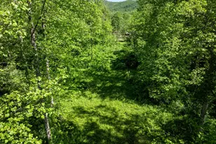 873 Entry Run Rd, Stanardsville, VA 22973 - Photo 19
