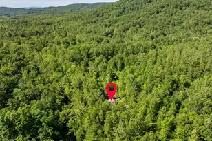 873 Entry Run Rd, Stanardsville, VA 22973 - Photo 23