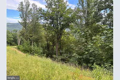 118 Lexington Court, Stanardsville, VA 22973 - Photo 11