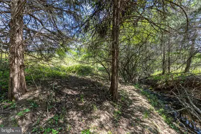 101 Richards Ct, Ruckersville, VA 22968 - Photo 57