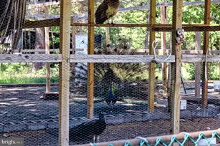 10439 Ashcake Rd, Ashland, VA 23005 - Photo 21