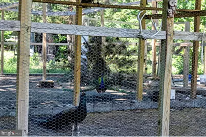 10439 Ashcake Road, Ashland, VA 23005 - Photo 23