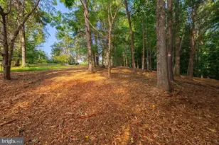 16282 Pleasant Mill Rd, Montpelier, VA 23192 - Photo 63