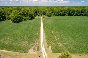 17254 Summer Meadow Rd, Beaverdam, VA 23015 - Photo 43