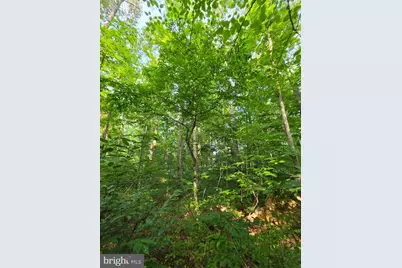 Old Ridge Road, Montpelier, VA 23192 - Photo 11