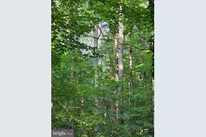 Old Ridge Road, Montpelier, VA 23192 - Photo 9