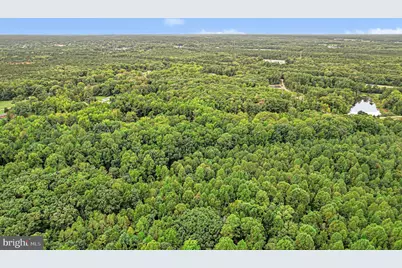 Jamestown Road, Ashland, VA 23005 - Photo 11