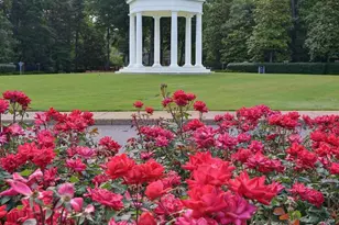 164 Highland, Williamsburg, VA 23188 - Photo 61