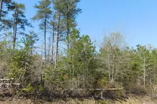 35-81 Stoney Knoll Rd, King George, VA 22485 - Photo 1