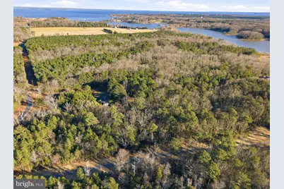 2 Seagrass Court, King George, VA 22485 - Photo 7