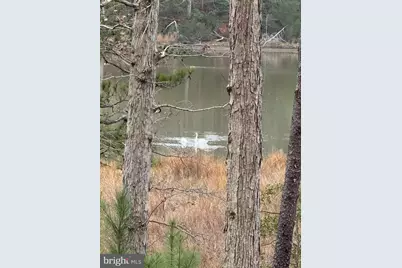 4 Seagrass Court, King George, VA 22485 - Photo 13