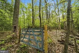 15598 Dickinsons Corner Dr, King George, VA 22485 - Photo 57