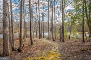 10234 Ashland Dr, King George, VA 22485 - Photo 91