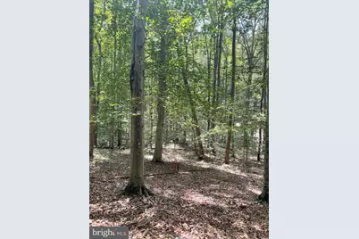 Lot 28 Compass Court, King George, VA 22485 - Photo 7