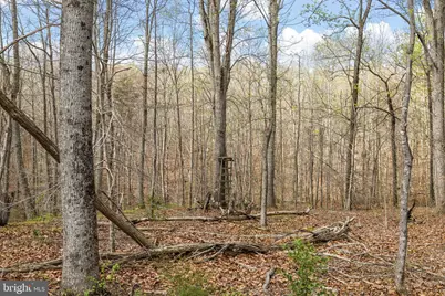 9092 Caledon Road, King George, VA 22485 - Photo 79