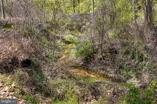6251 Rokeby Ln, King George, VA 22485 - Photo 65