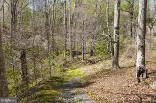 6251 Rokeby Ln, King George, VA 22485 - Photo 61
