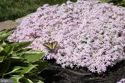 6371 Pointer Lane, King George, VA 22485 - Photo 3