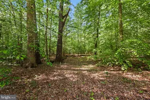 7664 Muscoe Pl, King George, VA 22485 - Photo 53