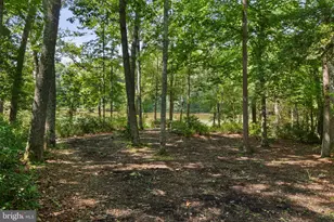 14760 Peach Tree Ln, King George, VA 22485 - Photo 49