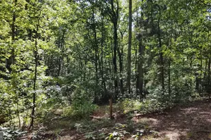 13025 Thunder Rd, King George, VA 22485 - Photo 11