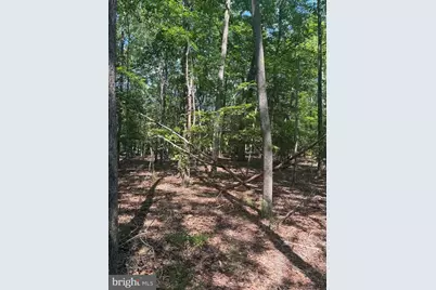 0000 Nancy Lane, King George, VA 22485 - Photo 5