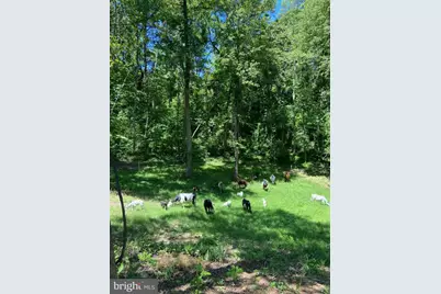 2137 Belvedere Drive, King George, VA 22485 - Photo 15
