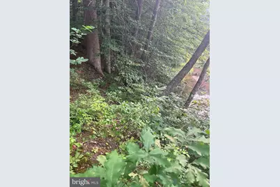 Kangaroo Ct, Mineral, VA 23117 - Photo 5