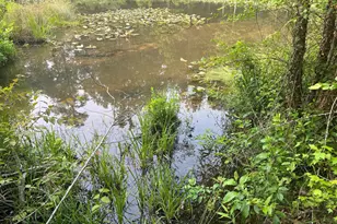 Kangaroo Ct, Mineral, VA 23117 - Photo 1