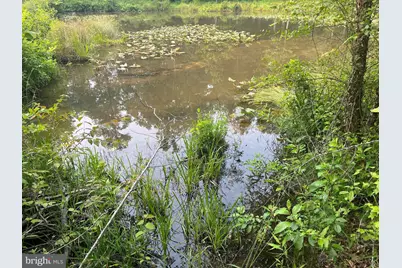 Kangaroo Ct, Mineral, VA 23117 - Photo 3