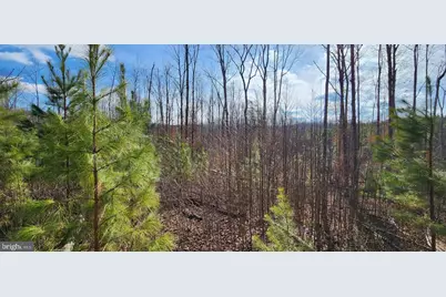 0 Vawter Corner, Louisa, VA 23093 - Photo 5