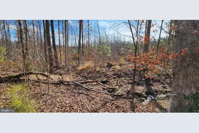 0 Vawter Corner, Louisa, VA 23093 - Photo 3