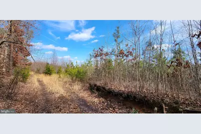 0 Vawter Corner, Louisa, VA 23093 - Photo 7