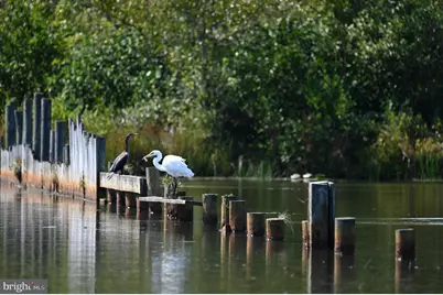 Lot 141 Tatum Dr, Mineral, VA 23117 - Photo 35