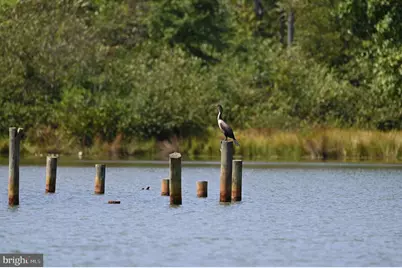 Lot 141 Tatum Dr, Mineral, VA 23117 - Photo 39