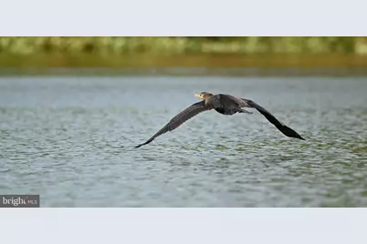 Lot 141 Tatum Dr, Mineral, VA 23117 - Photo 37