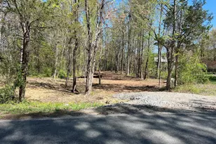 Historic Ln, Mineral, VA 23117 - Photo 1