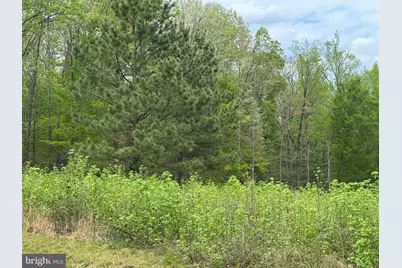 Lot 64 Ark Avenue, Bumpass, VA 23024 - Photo 11