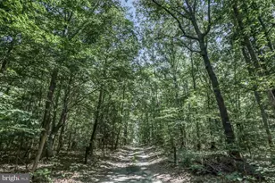 1761 Buckner, Bumpass, VA 23024 - Photo 43