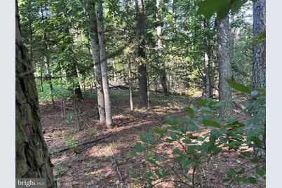 Lake Forest Drive, Mineral, VA 23117 - Photo 5