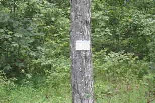 Blue Sky Way, Bumpass, VA 23024 - Photo 1