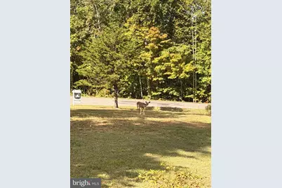 804 Chestnut Avenue, Mineral, VA 23117 - Photo 25