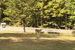 804 Chestnut Ave, Mineral, VA 23117 - Photo 25