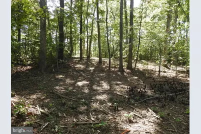 Lot 6 Equestrian Landing Trail, Bumpass, VA 23024 - Photo 7