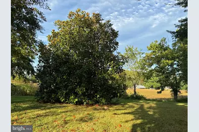 164 Garretts Mill Road, Bumpass, VA 23024 - Photo 9