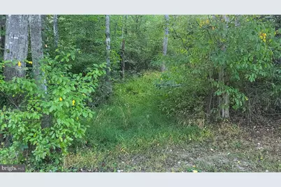 835 North Lake Shore Drive, Louisa, VA 23093 - Photo 5