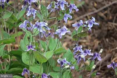 1185 Belle Meade Rd, Bumpass, VA 23024 - Photo 111