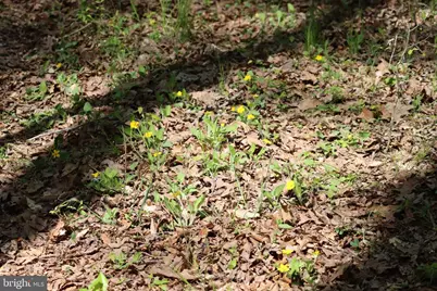 1185 Belle Meade Rd, Bumpass, VA 23024 - Photo 97